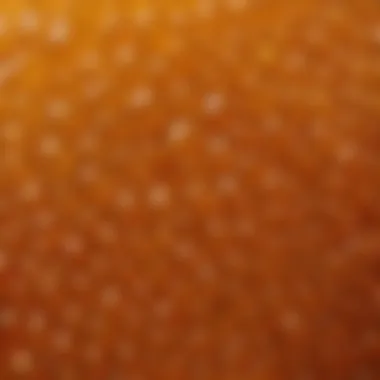 A close-up view of Anzer honey showcasing its unique texture and color