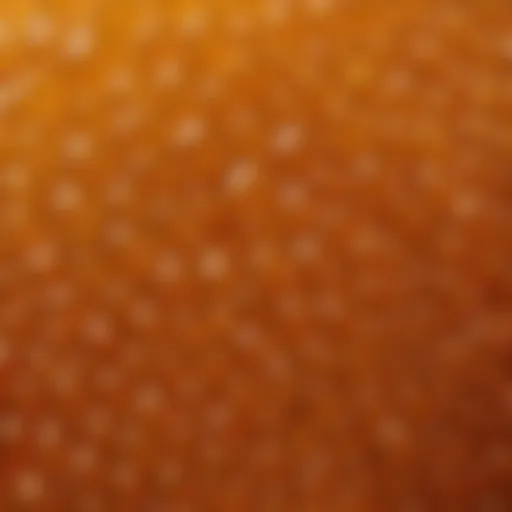 A close-up view of Anzer honey showcasing its unique texture and color