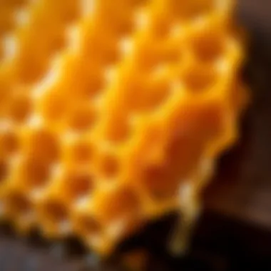 Close-up of Anzer honeycomb showcasing its unique structure