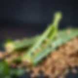 Nutritional composition of okra seeds