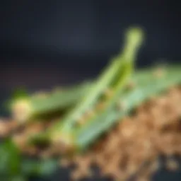 Nutritional composition of okra seeds