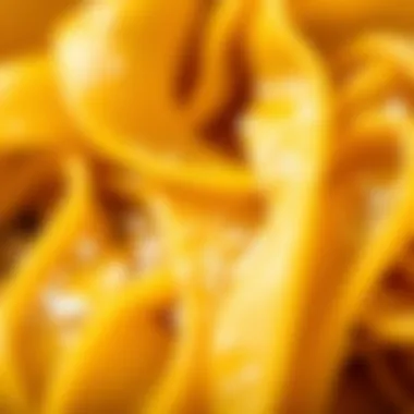 Close-up of Pappardelle Texture Close-up of Barilla Pappardelle highlighting its unique texture