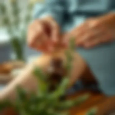 Person applying rosemary oil to the legs