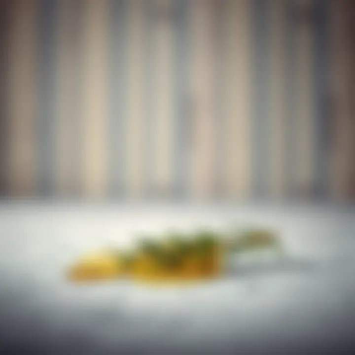 Spread of rosemary oil on a calming background