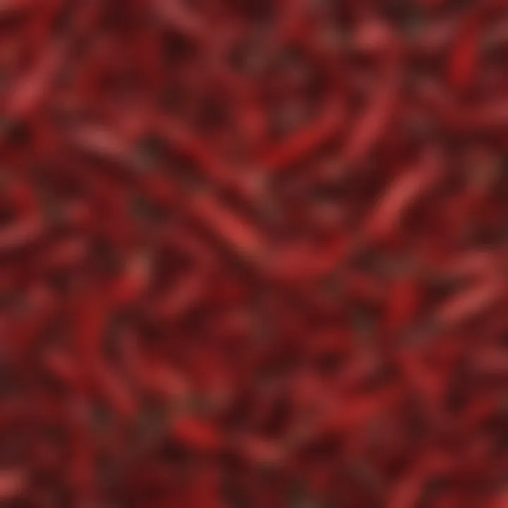 A close-up view of dried chili peppers highlighting their texture and rich color.