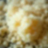 A close-up of coconut sugar granules showcasing its texture