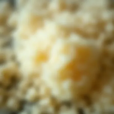 A close-up of coconut sugar granules showcasing its texture