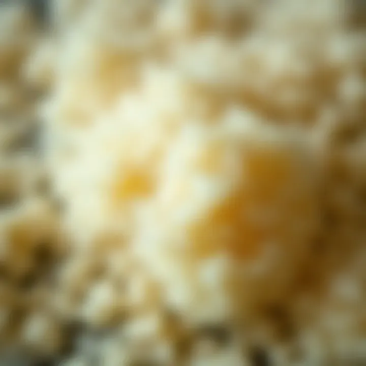 A close-up of coconut sugar granules showcasing its texture