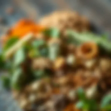 A collection of various herbs and spices to enhance flavor in cooking