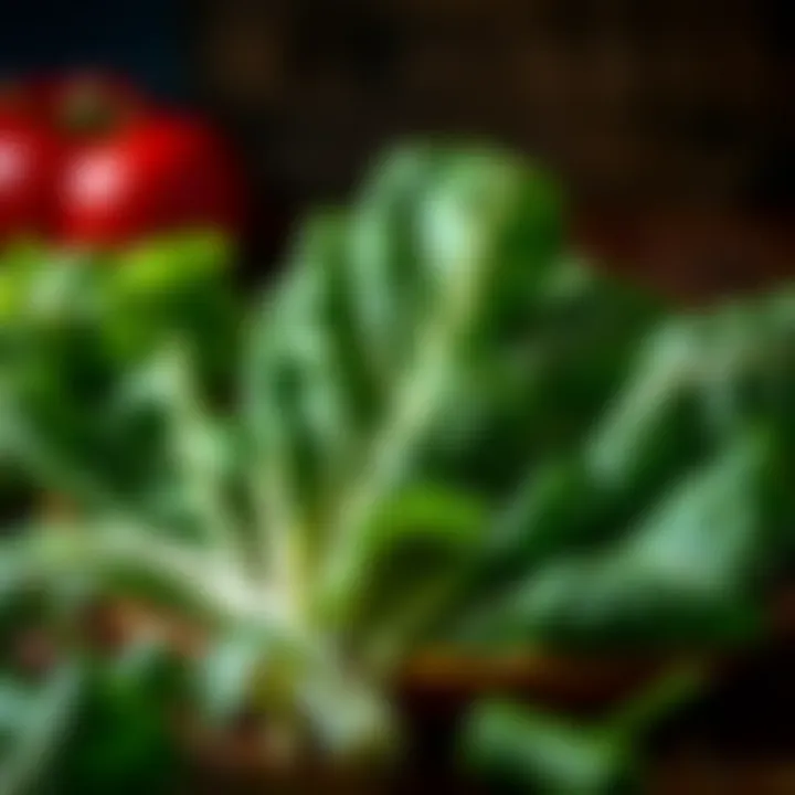 Leafy greens as a source of vitamin E