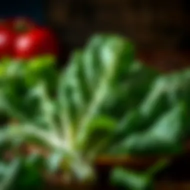 Nutritional Leafy Greens with Vitamin E Leafy greens as a source of vitamin E