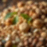 A vibrant assortment of nuts and seeds rich in vitamin E