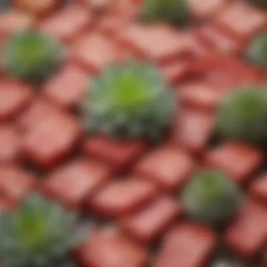 A close-up of succulent meat cuts used for tantuni