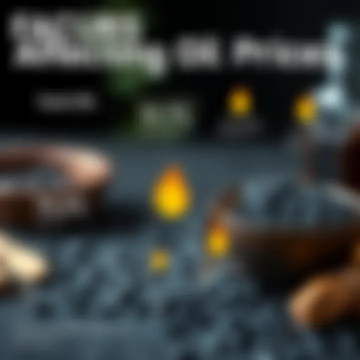 Infographic showing factors affecting black seed oil prices