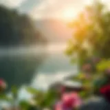 A serene landscape representing detoxification and renewal