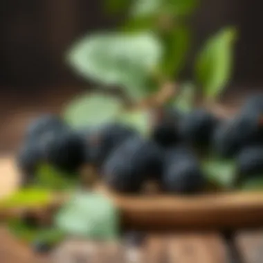 Fresh black mulberries with leaves on a wooden table