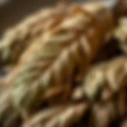 Dried herbal leaves of Karabaş plant showcasing its texture and color