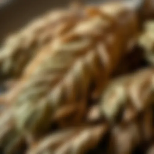 Dried Karabaş Plant Leaves Dried herbal leaves of Karabaş plant showcasing its texture and color