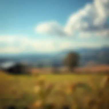 A picturesque dairy farm landscape