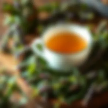 A cup of thyme tea surrounded by fresh thyme leaves