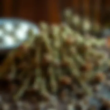 Dried thyme herbs in a rustic setting