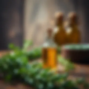 A creative arrangement of oregano oil in culinary uses