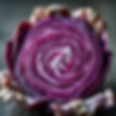 Health benefits of red cabbage displayed creatively