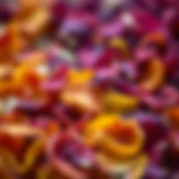 Dried rose petals showcasing their vibrant colors