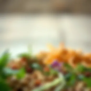 Exploring the Health Benefits of Aromatic Herbs Health benefits of aromatic herbs illustrated