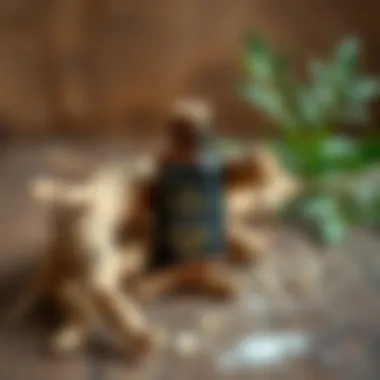 Natural Essence of Licorice Root Natural licorice root displayed on a wooden surface