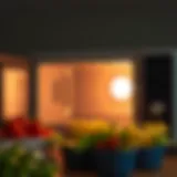 Understanding Microwave Radiation Detailed view of microwave radiation types