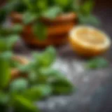 Fresh mint leaves with a lemon slice
