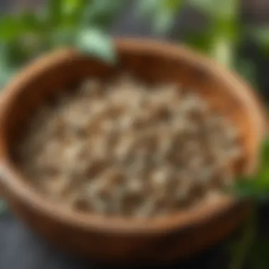 Nettle Seeds: A Superfood A close-up of nettle seeds in a wooden bowl