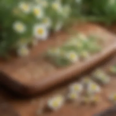 A close-up of chamomile flowers and fennel seeds on a wooden table.