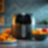 Modern Electric Fryer Design A modern electric fryer showcasing sleek design and functionality