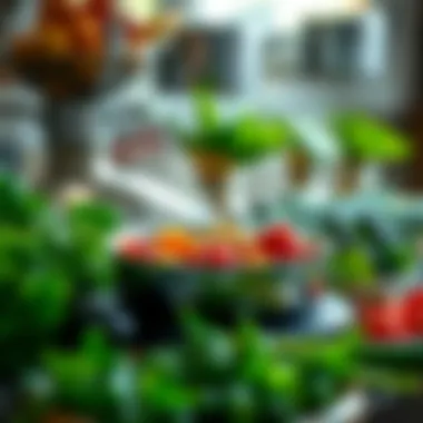 Fresh Ingredients for Steaming Healthy ingredients ready for steaming