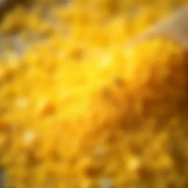 Close-up of bee pollen granules highlighting their texture