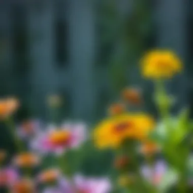 A beautiful garden scene with flowers attracting bees