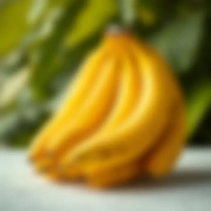 A bunch of ripe bananas emphasizing their health benefits and potassium richness