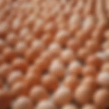 Regional Price Variations of Eggs Regional price variations of eggs across Turkey