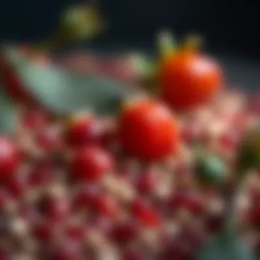 The Essence of Rosehip Seeds A close-up view of rosehip seeds, showcasing their texture and color.