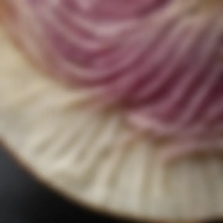 Close-up of sliced onion revealing its texture