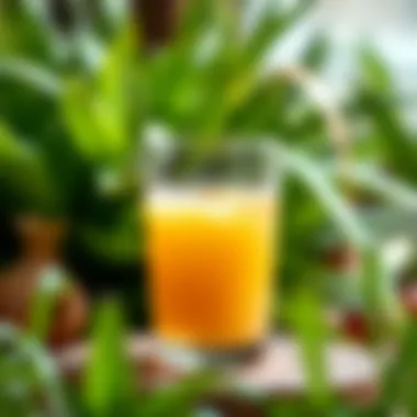Onion Juice Amidst Nature's Beauty A vibrant green plant background with a glass of onion juice