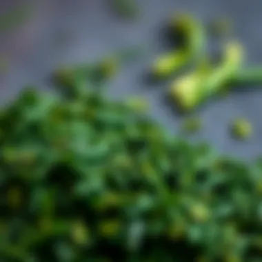 Nutritional composition chart of Spirulina