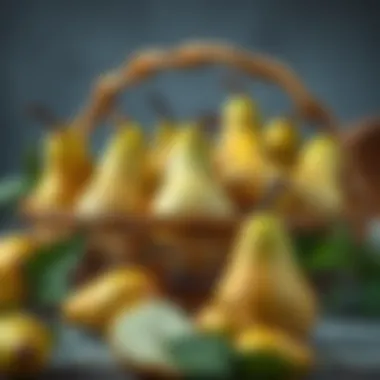 A vibrant display of sugar pears in a rustic basket