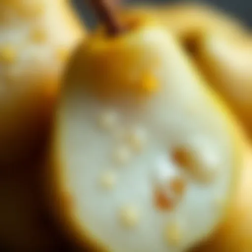 A close-up of sugar pear fruit with dew drops on its skin