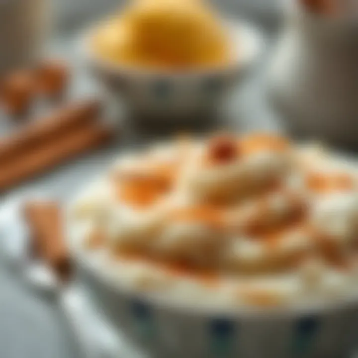 A close-up of creamy rice pudding topped with cinnamon