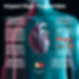 An infographic explaining the impact of high triglycerides on cardiovascular health