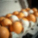 Fresh eggs in a carton